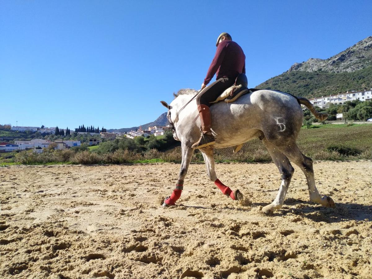 Apartamento Valle Del Guadiaro コルテス・デ・ラ・フロンテラ エクステリア 写真